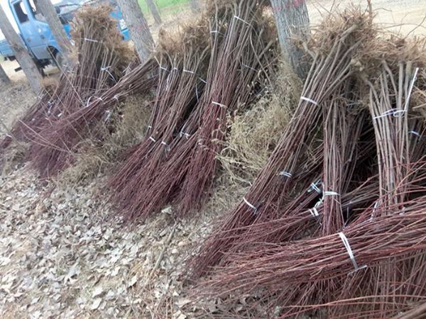 裝車(chē)現場(chǎng)